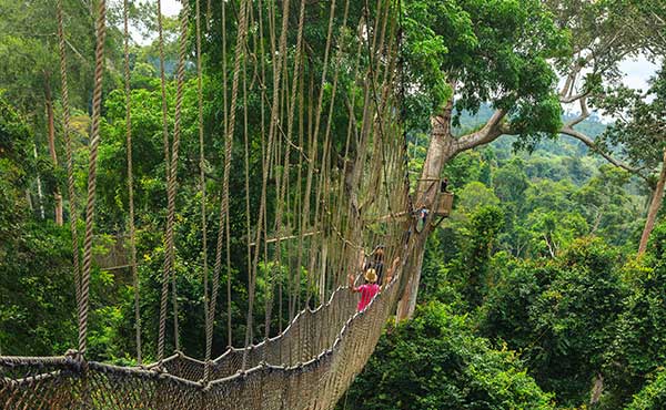 Kakum National Park
