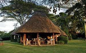 Lewa House