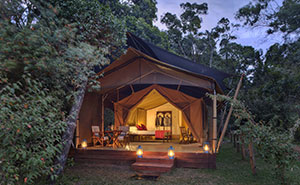 Elephant Pepper Camp