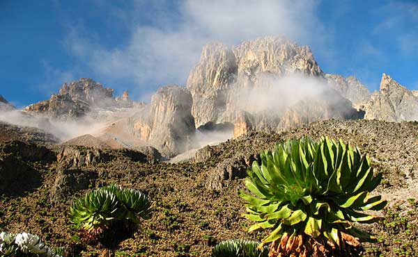 Mount Kenya National Park