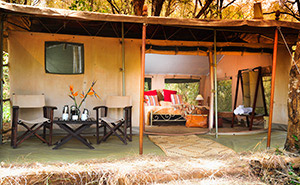 Nairobi Tented Camp