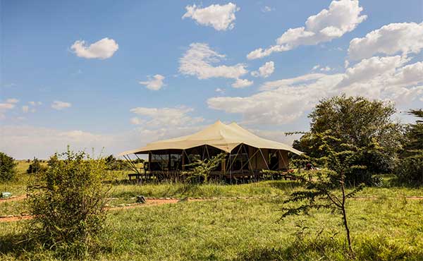 Porini Lion Camp