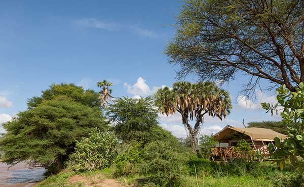 Elephant Bedroom Camp