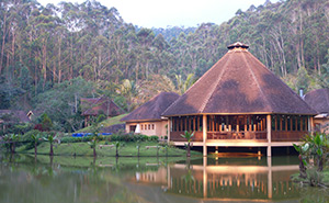 Vakona Forest Lodge