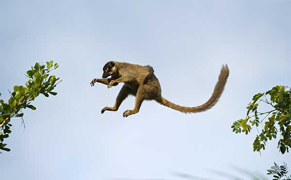 Anjajavy Private Reserve