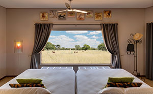 Okonjima Plains Camp