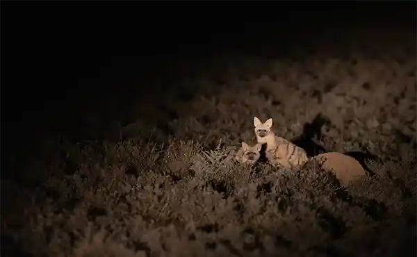 Khoisan Karoo Conservancy