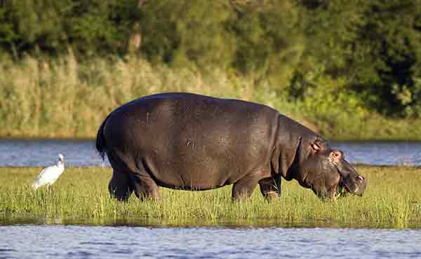 iSimangaliso Wetland Park