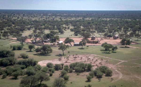 Kalahari Tented Camp