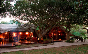 Kosi Forest Lodge