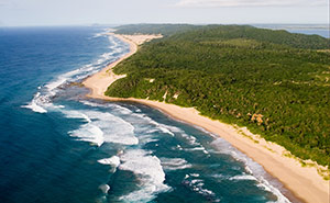 Thonga Beach Lodge