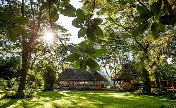 Rivertrees Country Inn