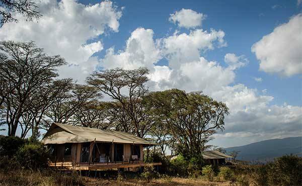Entamanu Ngorongoro