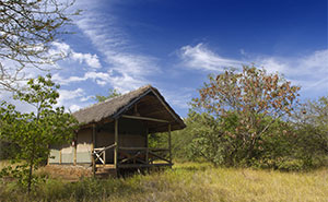 Kirurumu Manyara Lodge