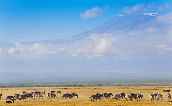 Mount Kilimanjaro