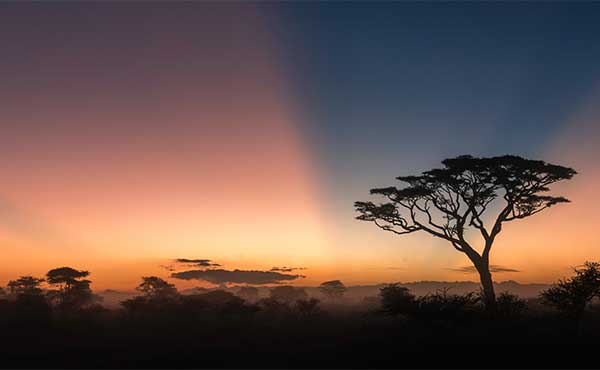 Serengeti Safari Camp