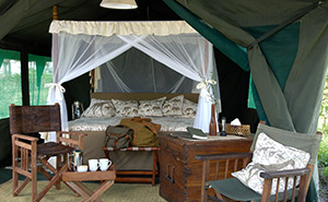 Kirurumu Ngorongoro Camp