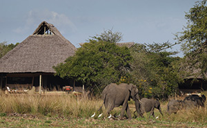 Siwandu Camp