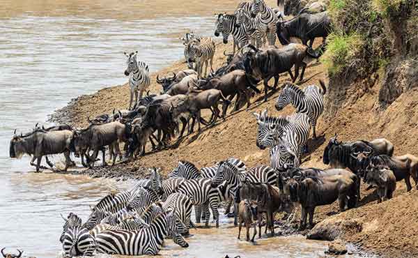 Serengeti National Park