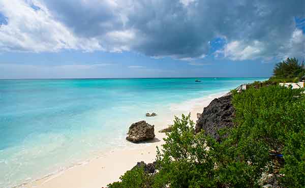 Zanzibar, Mafia, Pemba