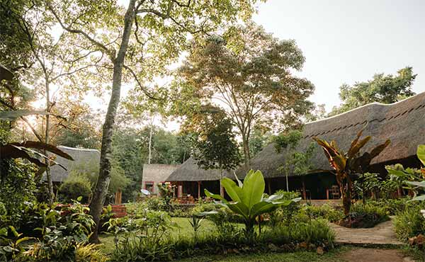 Primate Lodge