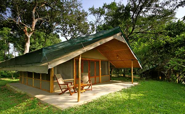 Ishasha Wilderness Camp