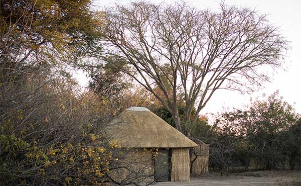 Ntemwa-Busanga Bush Camp