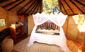 Mwamba Bush Camp