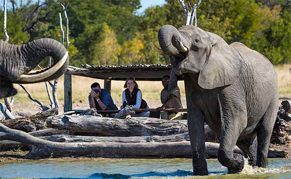 Little Makalolo Camp