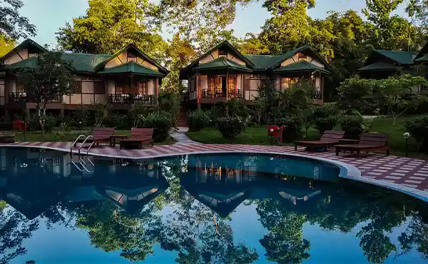 Infinity Resort Kaziranga