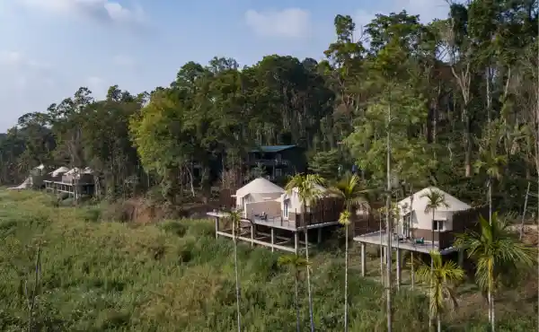 Machaan Wilderness Lodge