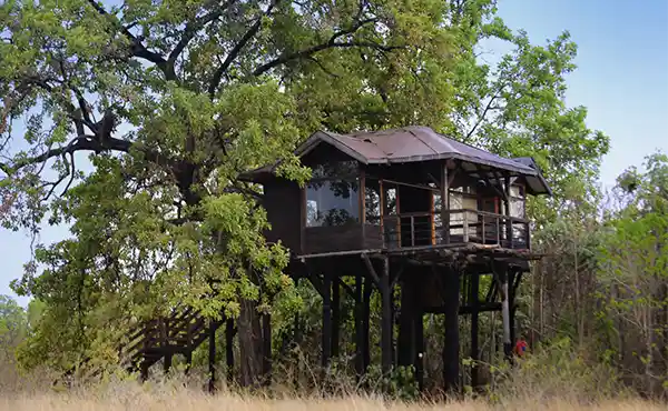 Pench Tree Lodge