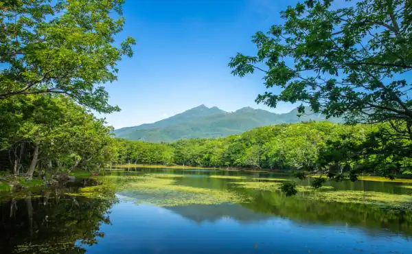 Shiretoko National Park