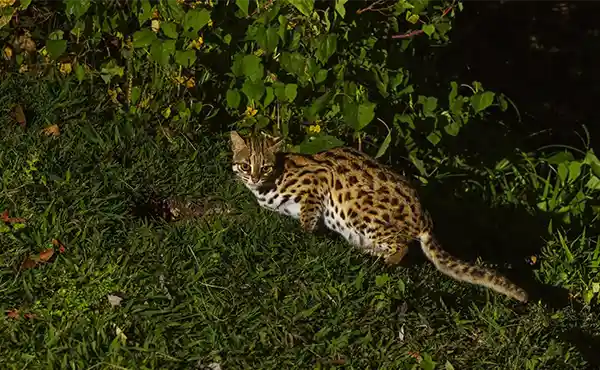 Kaeng Krachan National Park