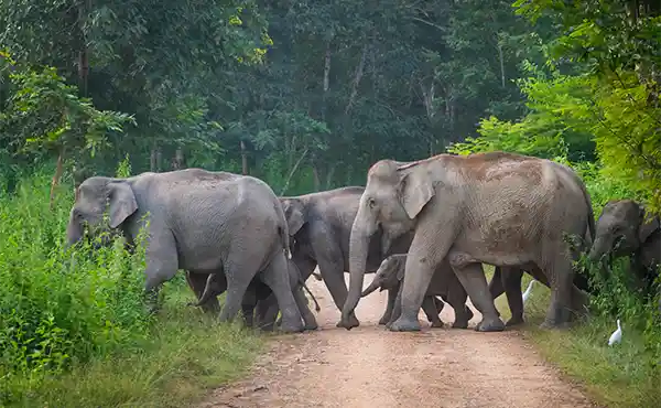 Kui Buri National Park