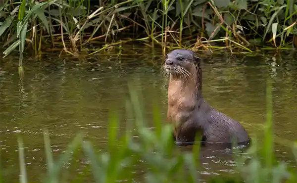 Khao Yai National Park