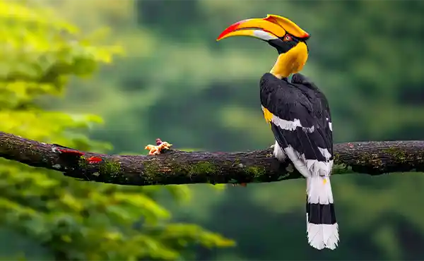 Cat Tien National Park