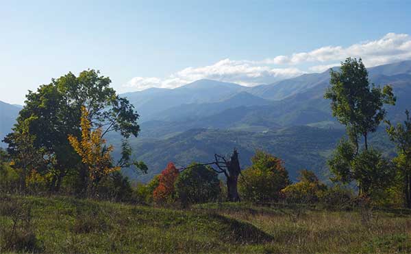 Dilijan National Park