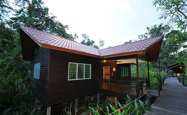 Abai Jungle Lodge