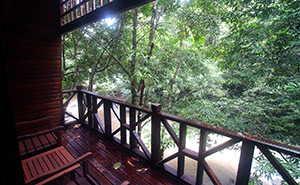 Tabin Wildlife Resort