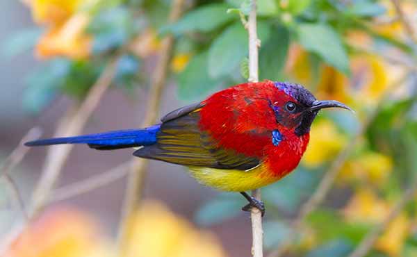 Eagle’s Nest Wildlife Sanctuary