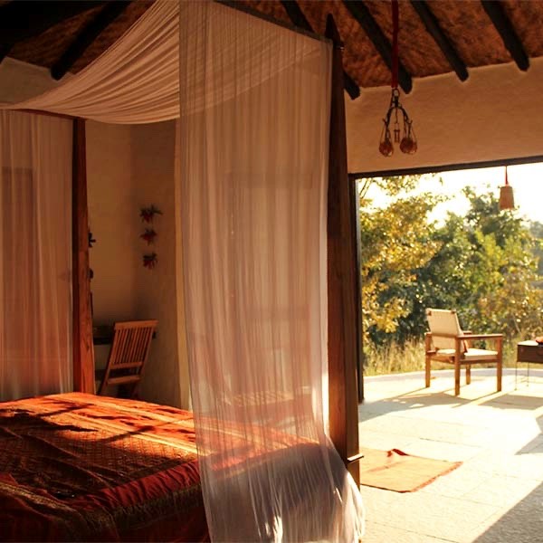 Flame of the Forest accommodation in India