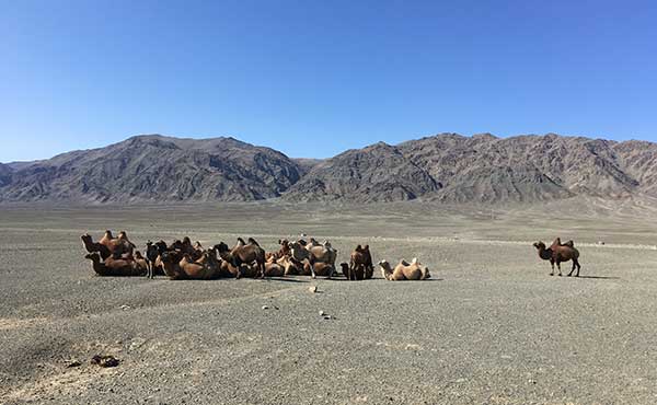 Khovd Region