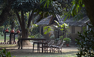 Tiger Tops Tharu Lodge