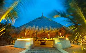 Dolphin Beach Resort