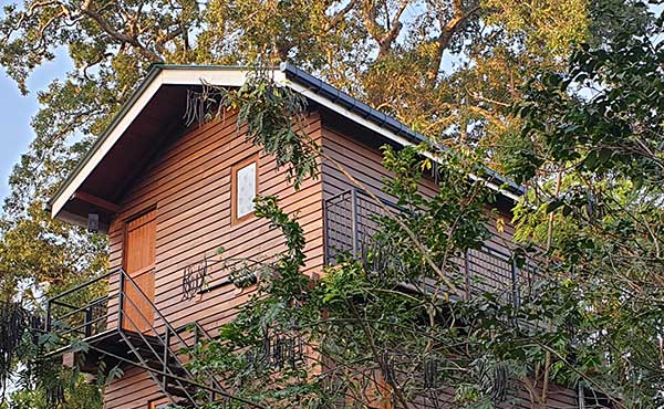 Wilpattu Tree House