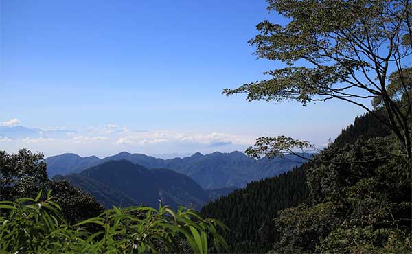 Dasyueshan Forest Recreation Area