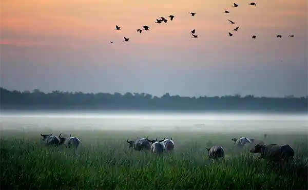 Bamurru Plains Lodge