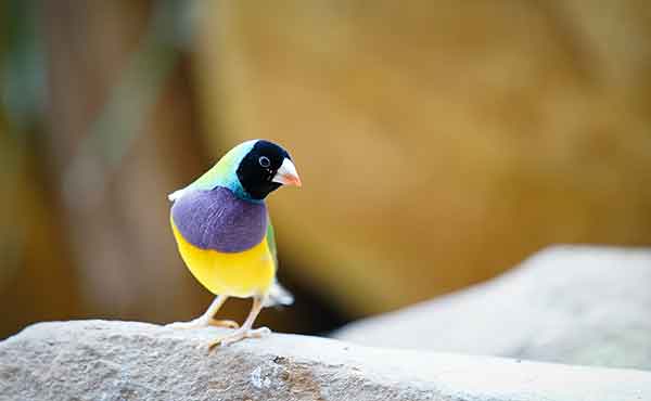 Nitmiluk National Park (Katherine Gorge)