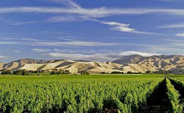 Blenheim & Marlborough